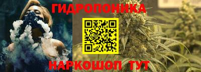 дживик Ирбит