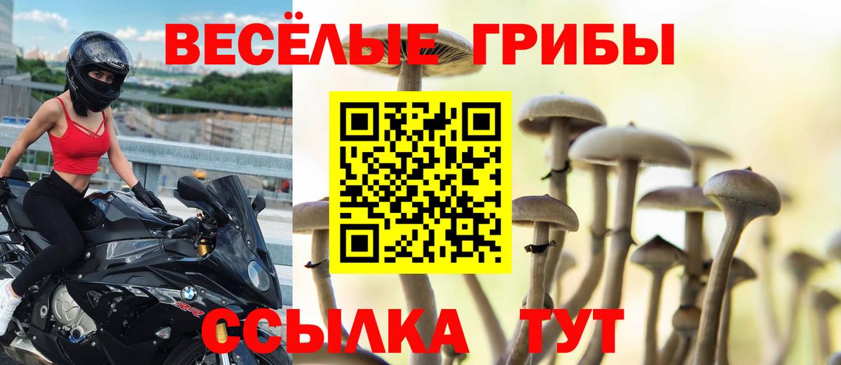 Галлюциногенные грибы мухоморы Михайловск