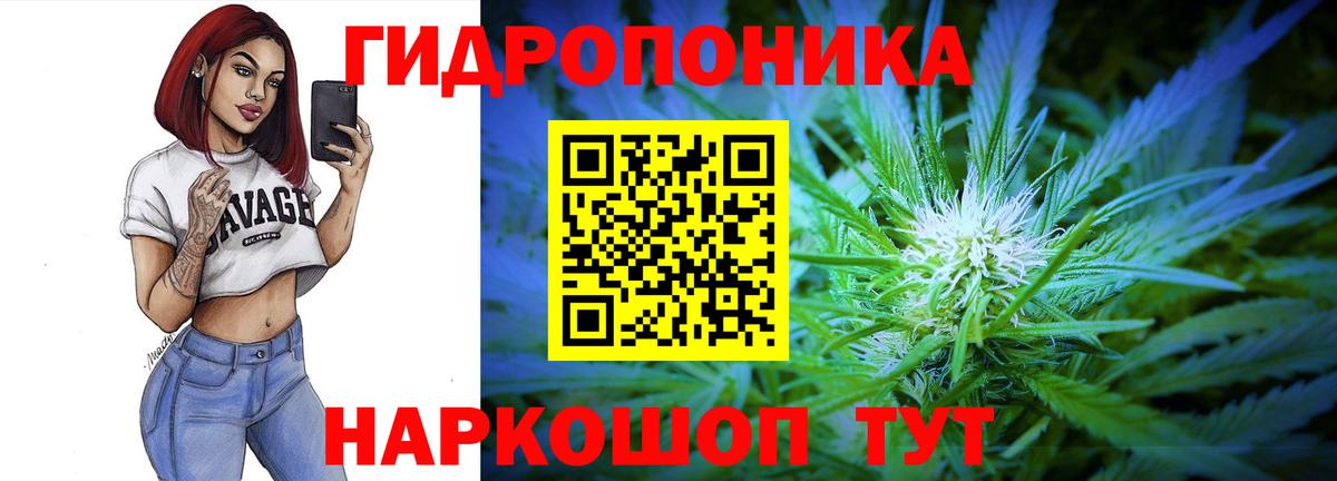 Михайловск  Конопля семена  Вход с VPN  Марихуана гибрид 